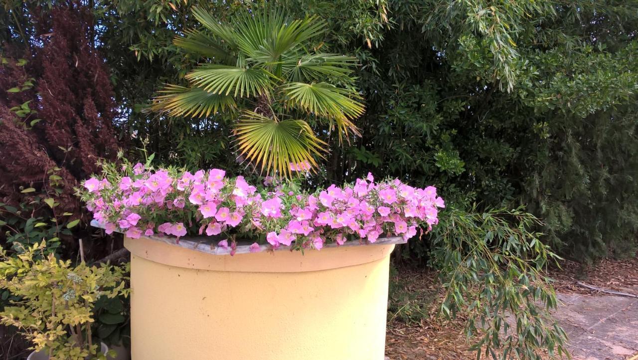 Cavo Paradiso Villa 아스프로발타 외부 사진